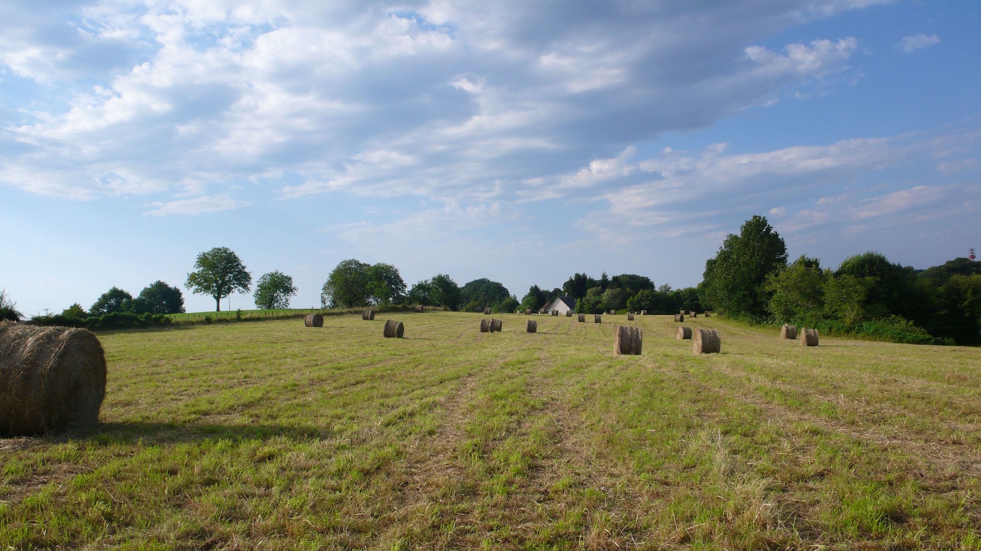 Assemblée générale élective du CRMTL