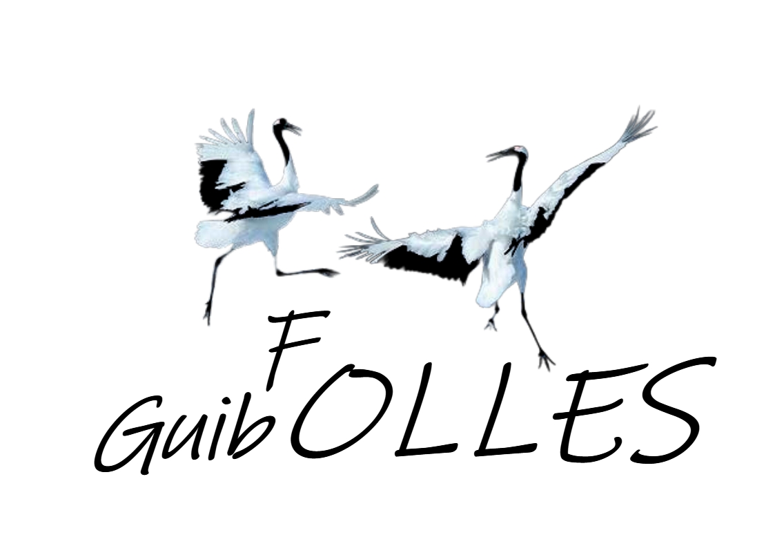 Atelier de danse folk et néo-folk