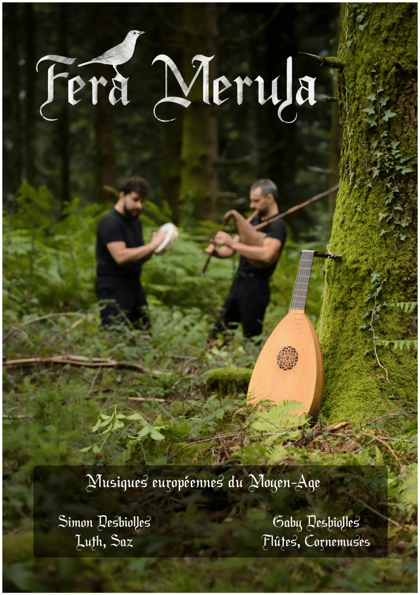 concert de musiques et danses médiévales et celtiques au château