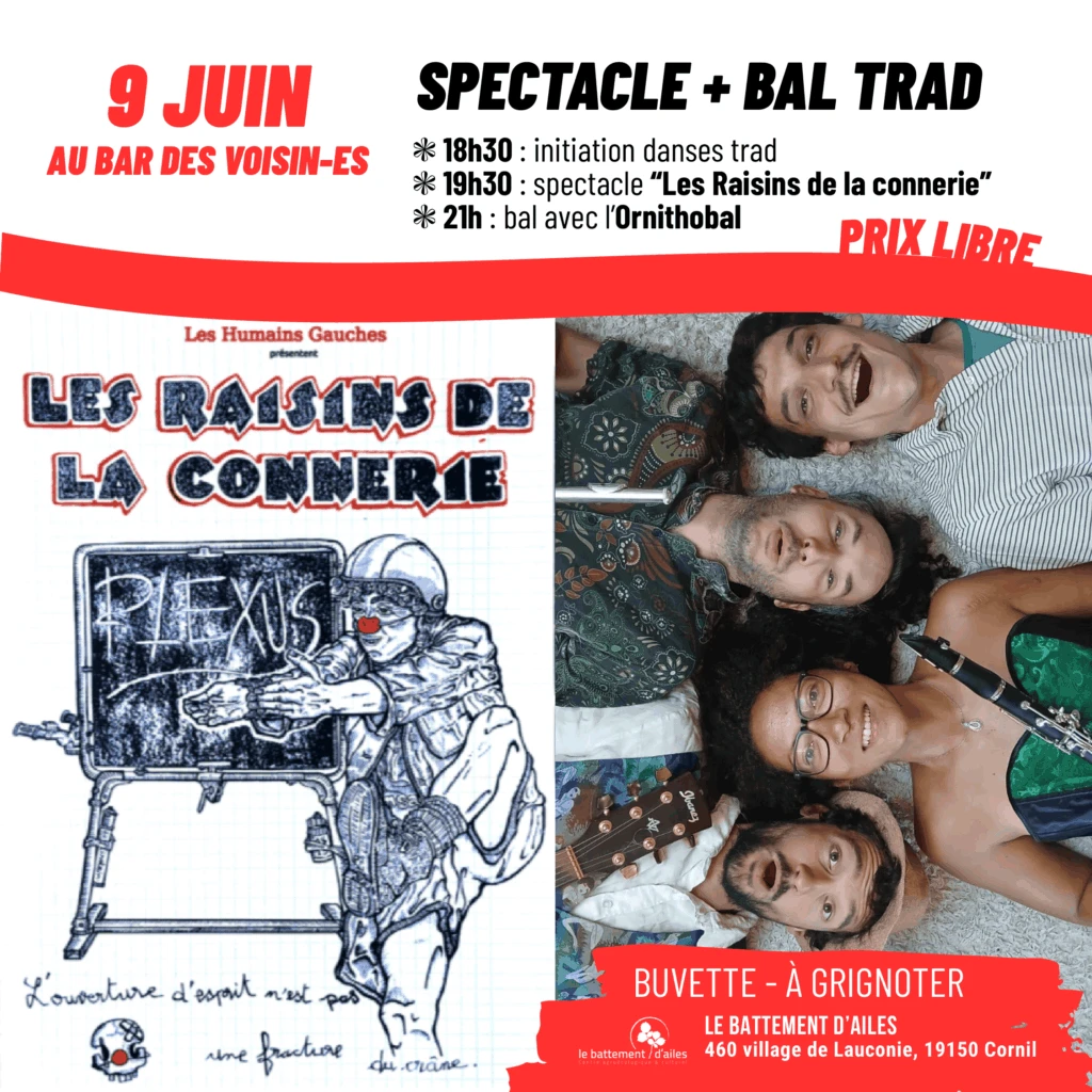 Initiation Folk, Spectacle de clown et Bal Folk
